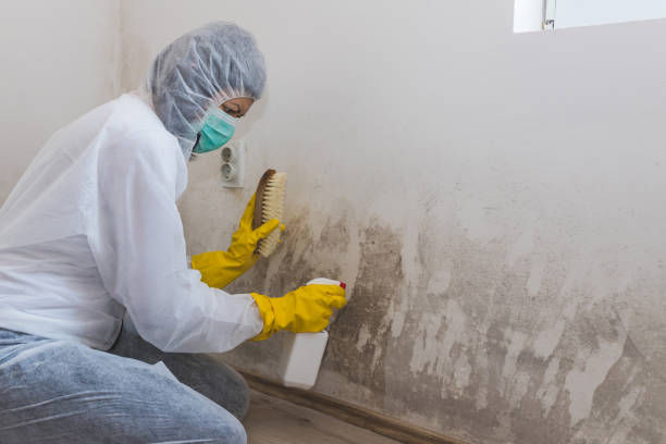 Best Mold Odor Removal Services  in Fairmount, GA