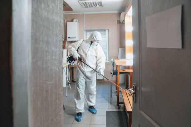 Best Water Damage & Mold Remediation  in Fairmount, GA
