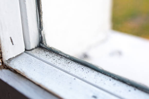Best HVAC Mold Inspection and Cleaning  in Fairmount, GA